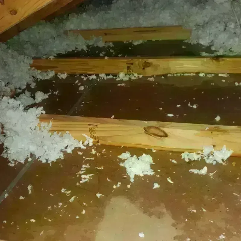 Attic Water Damage in Dover Base Housing, DE